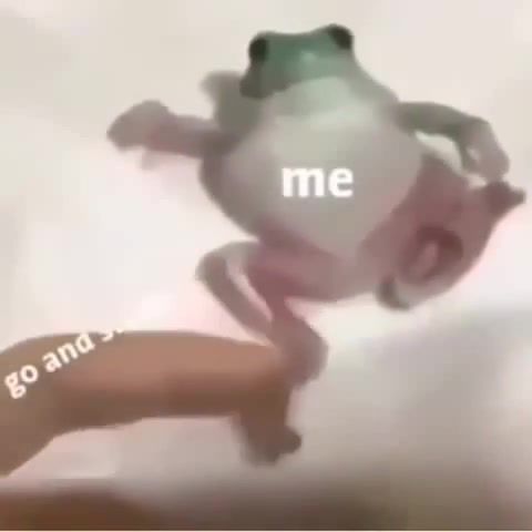 Frog slaps meme