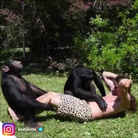 It's Time To Get Yourself A New Personal Trainer. Workout. Monkey. Gym. Abs. Personal Trainer. Fit. Fitness. Lol. Rofl. Funny. Fitradar. Motivation. Animals Pets.