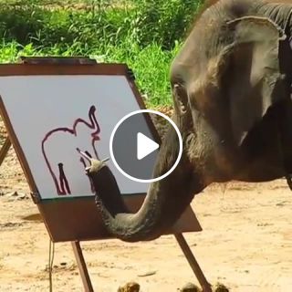 The painting elephant