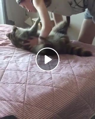 Blind girl playing with her cat