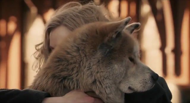 Meaning of eternity, Hachiko 10 Years Still Waiting, Hachiko Old Scene, Hachi A Dog's Tale Hd, Hachiko Sad Scene, Hachiko Saddest Scene, Avalon, Loyalty, Hachiko, Animals Pets