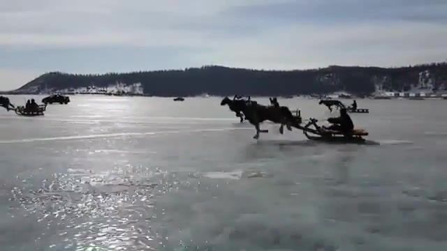 Riders on the ice, Horses, Ice, Baikal, Horse Racing, Race, Ride, Animals Pets