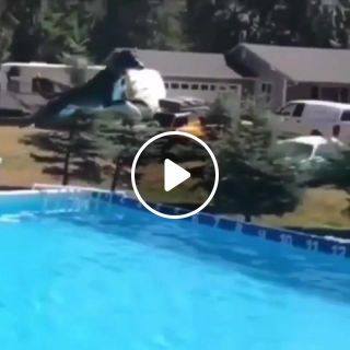 Farthest leap by a dog