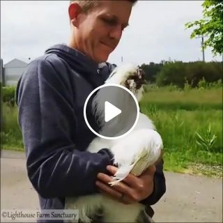 Animal hugs Love