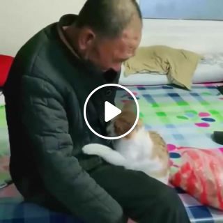 Friendship. Grandpa and the cat