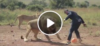 Kevin Richardson playing football with wild lions
