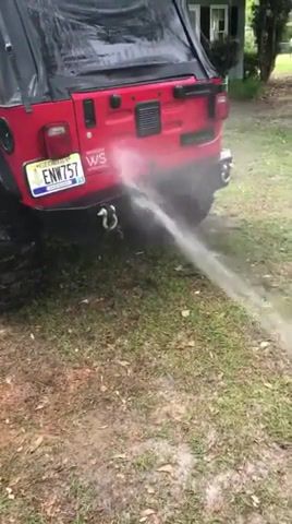 When you're trying to wash your jeep, Dog, Pets, Animals, Funny, Animals Pets