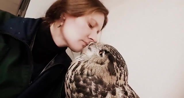 Owl Kisses, Bonuscrystals, Romantic, Downtempo, Trip Hop, Bent, Kisses, Owl, Owl Kisses, Animals Pets