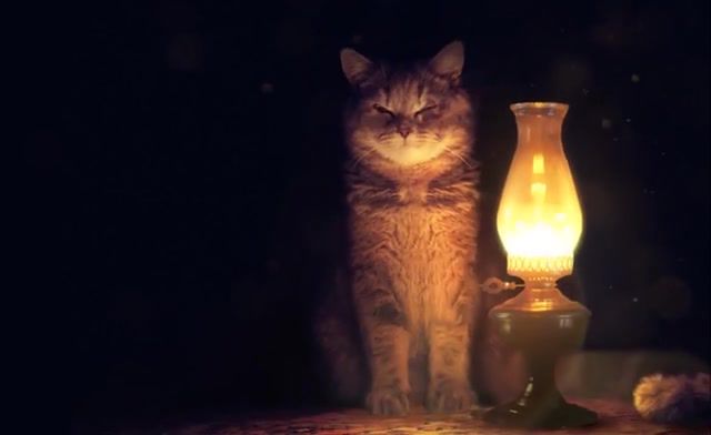 Cat and metro, apocalypse, night, lamp, metro, cat, animals pets.