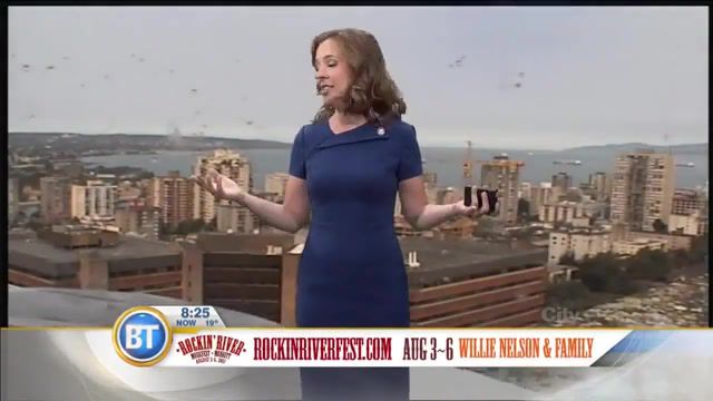 Surprise, Motherers. Ed Up. What Are You Doing. Wow. Channel. Live. Broadcast. Tv. Wtf. Giant Bird. Big Bird. Seagull. Weathercast. Weather. Newscast. News. Show. Animals Pets.