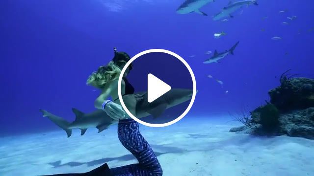 Freedive against all odds, l a d y emotional acoustic guitar instrumental trap rnb neo soul beat, shark diving, sharks, waterlust, diver, underwater, freediver, dive, onebreath, underwaterphotography, freedive, spearfishing, freediving, nature travel. #0