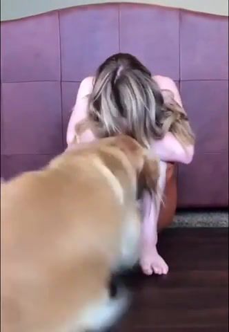 You've got adog friend in me, funny tik tok, funny, funniest, animals pets.