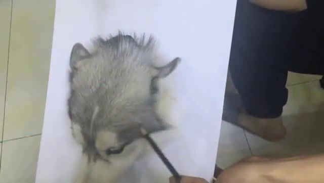 How to draw a realistic dog, drawing, dog, art, pets, animals pets.