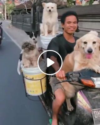 Where do I see myself in ten years Living in Bali, with my dogs. Credit unknown