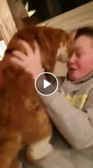 Kid is reunited with his cat which had run away
