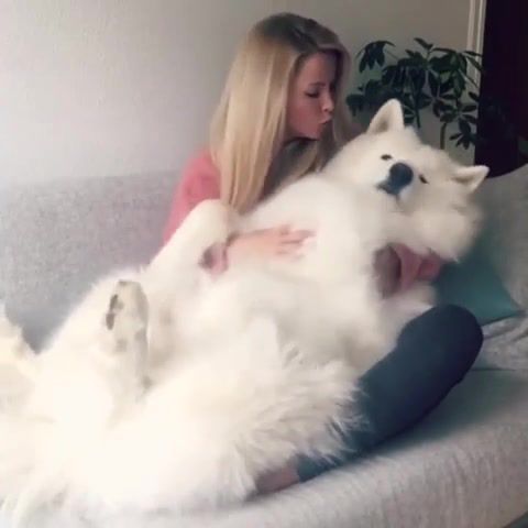 Very cute dog and his beautiful mistress, nice girl, animals pets.