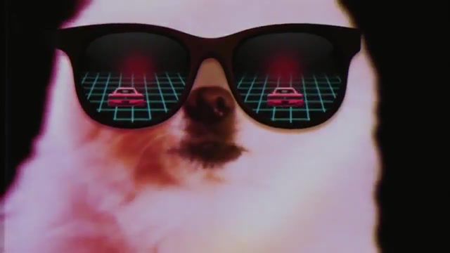Road Borks - Video & GIFs | meme,edm,electro,aesthetic,80s,futuristic,retro,outrun,remix,road games,kavinsky,bork,ytpmv,ytp,dogsource,gabe the dog,gabe,arf,animals pets