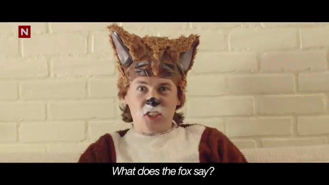 What does a fox say, Animals Pets