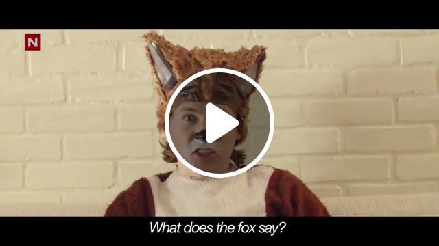 What does a fox say, animals pets. #0