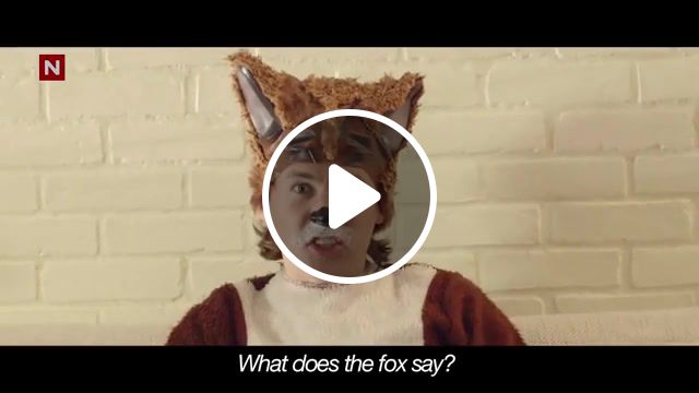 What does a fox say, animals pets. #1