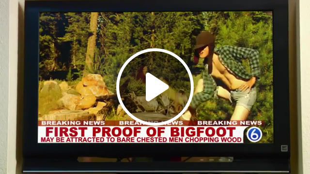 Bigfoot is real, smosh, anthony, padilla, ian, hecox, big, foot, sasquatch, olivia, munn, playboy, shanedawsontv2, shanedawson, bird, sesame, street, turkey, sandwich, bigfoot, mistycal, animals pets. #0