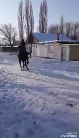How to ride a horse, animals pets.