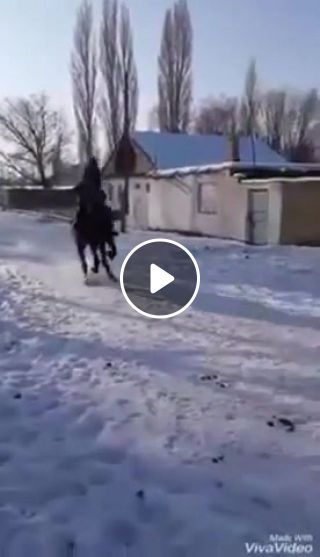 How to ride a horse