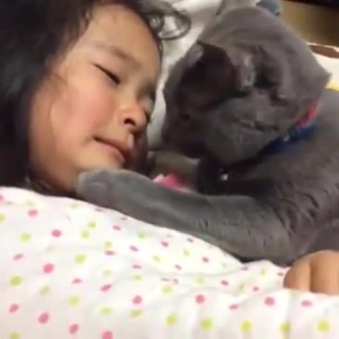 Don'T Cry, Cat, Girl, Cry, Crying, Sad, Hot, Animals, Sadcat, Dontcry, Music, Funny, Dance, Booty, Girls, Care, Love, Free, Freedom, Woods, Animals Pets