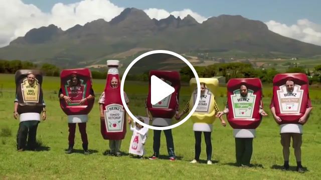 Heinz ketchup, dog, commercial, ketchup, dogs, crazy, weiner stampede, heinz commercial, animals pets. #0