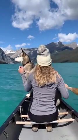 Husky Dreams. Husky. Siberian Husky. Dogs. Lake. Boat. Pets. Nature. Canada. Cafe Del Mar. Dreams. Social Distancing. Animals Pets.