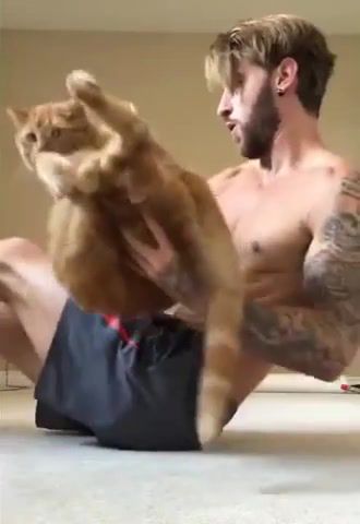 Home workout, cat, fit, fitness, training, man, funny, animals pets.
