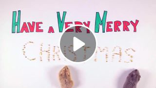Christmas hamsters