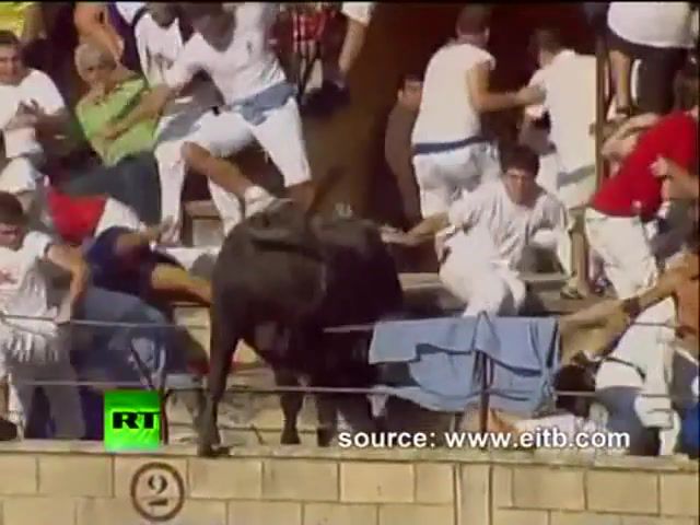 Spain rampage raging bull charges into crowd injuring 40 at bullfight, spain bullfighting, bull leaps into crowd, bullring stands in spain, bull rampage, spain bull tafalla, spain bull, raging bull in spain, bull caught on tape, toro espana, bullfight tafalla, animals pets.