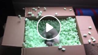 Proper use of packing peanuts