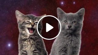 Space Cats Magic Fly