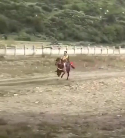 A fast walking horse, 9gag, Horse, Hachaturyan, Funny, Animals Pets