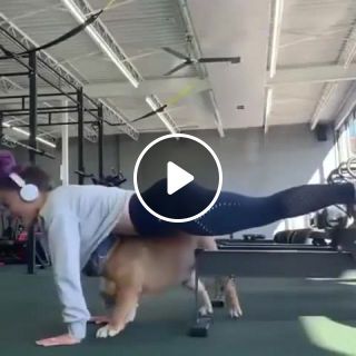 It's bring your dog to workout day