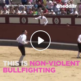 This is non violent bullfighting