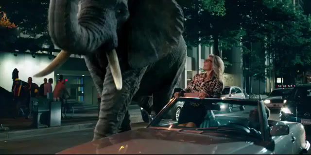 Music - Video & GIFs | music,what so not jaguar,trap,funny,melody,xd,xdd,xddd,lol,nature,animal,animals,car,cars,city,citta,smile,end,elephant,animals pets