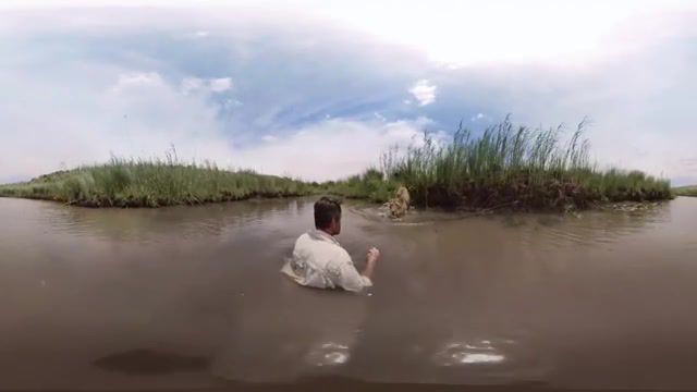 GoPro VR For the Love of Lions, Africa, Cecil, Hug, Reserve, Lioness, Virtual Reality, Spherical, 360, 360 Degree, Lions, Hero 5 Session, Hero 5, High Def, High Definition, Viral, Crazy, Great, Beautiful, Action, Black, Session, Hero 4 Session, Hero5 Session, Hero4 Session, Hero 4, Epic, Hero, Cam, Camera, Go Pro, Best, Hd, 4k, Rad, Stoked, Hd Camera, Hero Camera, Hero5, Hero4, Gopro, Animals Pets