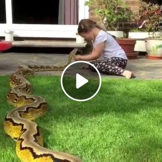 Snake friend