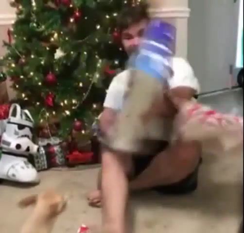 Omg Playstation Cat - Video & GIFs | caddy,groovy,meme,music,playstation,new year,holidays,enjoykin,eleprimer,free,join,funny,omg,trip,cats,attack,happy,boy,wtf,cat,animals pets