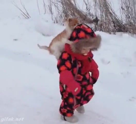 Cat vs Baby, Cats Of The Day, Version Metal, Loop, Hybrids, Hybrid, Cat, Of The Day, Cats, Walking Cats, Walking Cat, Twd, The Walking Cats, Epic Cats, Funny Cats, Funny Cat, Epic Funny, Troll Cat, Trolololo, Trololo, Lol, Trolling, Troll, Busted, Wasted, Russia Winter, Russian Winter, Like A Boss, Thug Life Cats, Thug Life Cat, Thug Life Kids, Thug Life Compilation, Vida De Cholo, Thug Life, Turn Down For What, Fallen, Fall, Baby Fall, Cats Funny, Cats Meowing, Heavy Cat, Death Metal, Cat Metal, Metal Cat, Heavy Metal, Cats Music, Cats Compilation, Cats Mortal Kombat, Cats Scared, Cats Party, Cats Friendly, Cats Playing, Cats Playing Cats, Cold, Winter, Cats In Winter, Zombie Cat, Zombi Cat, Cats Nation, Cat Nation, Cat Vs Humans, Cat Vs Human, Epic, Epic Jokes, Epic Joke, Joke, Cats Jokesjokes, Cats Jokes, Cats Gifs, Cats Gif, Cats Vs Pizza, Cats Everywhere, Cats Are Awesome, Cat Are Awesome, Cats Of Instagram, Cat Of The Day, Kittens First Walk, Kitten, Gatos, Gato, Animals Pets