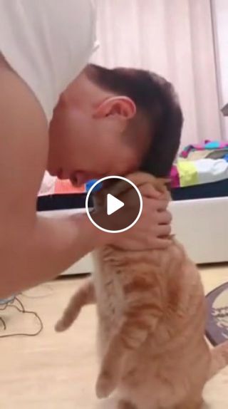 The warm moment of the cat and the owner