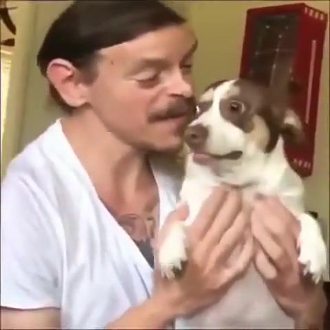 I love you mr bubz - Video & GIFs | meme,animals pets