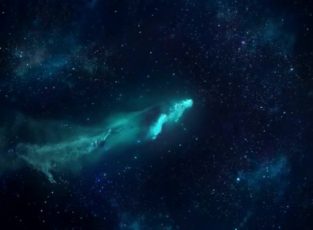Whale's ocean, susanne sundfor, goodbye, whale, sky, heaven, stars, dream, amazing, beautiful, koodeki, sea, area, loop, relax, neon, deep, deep blue, space, sad, skeler, pale light, art, art design.
