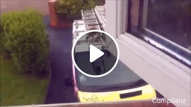 Cat jumping, compilation, supercut, compilariz, best, win, awesome, amazing, viral, cats, cats compilation, cool, lol, funny, pets, animals, cute, cat, kitty, ultimate collection, cat viral, animals pets. #0