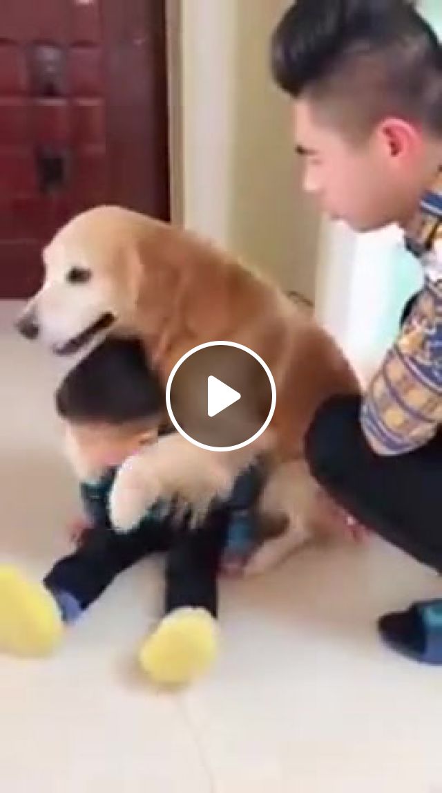 Nothing Gonna Change My Love For You, Dog Huging, Dog Hugs Baby, Nothing Gonna Change My Love For You Cover By Littlewave, Cute Dog, Dogs Protecting Baby, Animals Pets. #1