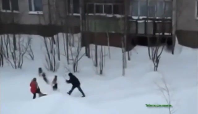Russian Palladin Hero Of Shovel, Guy Saves Girl From Pack Of Wild Dogs, Meanwhile In Russia, Animals Pets.