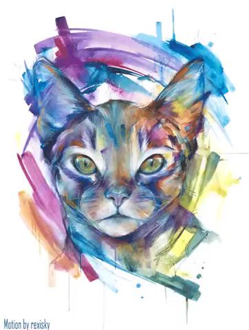 Painted Cat LOTUS, Art, Paint, Cat, Cats, Animal, Animals, Dog, Loop, Design, Color, Mood, Look, Wonder, Eyes, Face, Move, Animals Pets